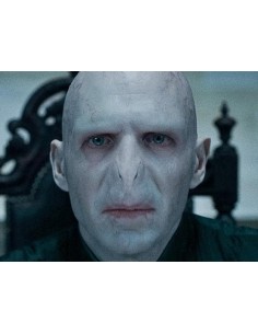 Bacchetta di Lord VOLDEMORT